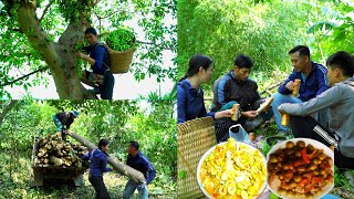 Harvesting timber resources on the farm – Selling figs and preparing d