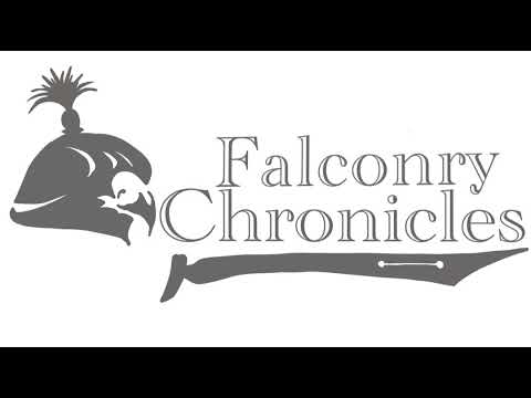 Episode 106: Dr. Corey Roelke