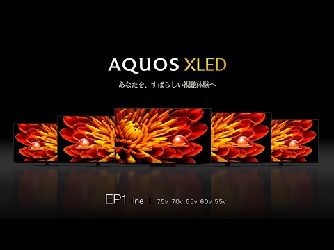 液晶テレビ AQUOS 4T-C55EP1 [55V型 /Bluetooth対応 /4K対応 /BS 液晶テレビ AQUOS 4T-C55EP1 [55V型 /Bluetooth対応 /4K対応 /BS