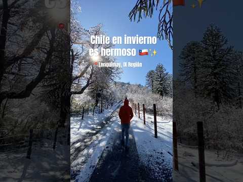 Chile es un paraíso, suscríbete!🇨🇱💫 #surdechile #lonquimay #chile #winter   #araucania #travel