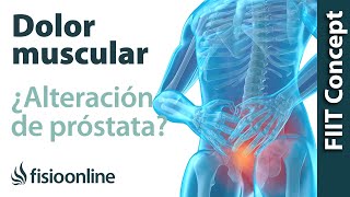Tratamiento para los problemas musculares y articulares provocados por alteración de la próstata