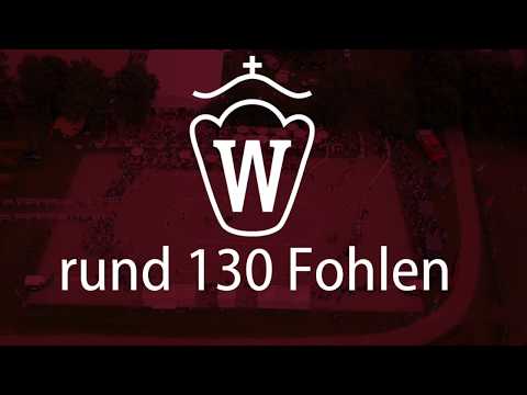 Trailer der westfälischen Fohlenauktion 2018 am 25. und 28. Juli 2018