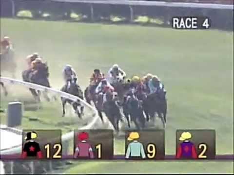 澳門堅尼大賽 (一級賽)--「浩勝皇綵」今季第三匹四捷馬 (3/5/2014)