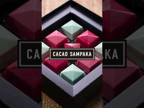 おすすめバレンタイン2026！#2 カカオサンパカ「チーク セレクション 9個入（5種）」 #valentinesday #chocolate #バレンタイン #shorts #チョコレート #pr