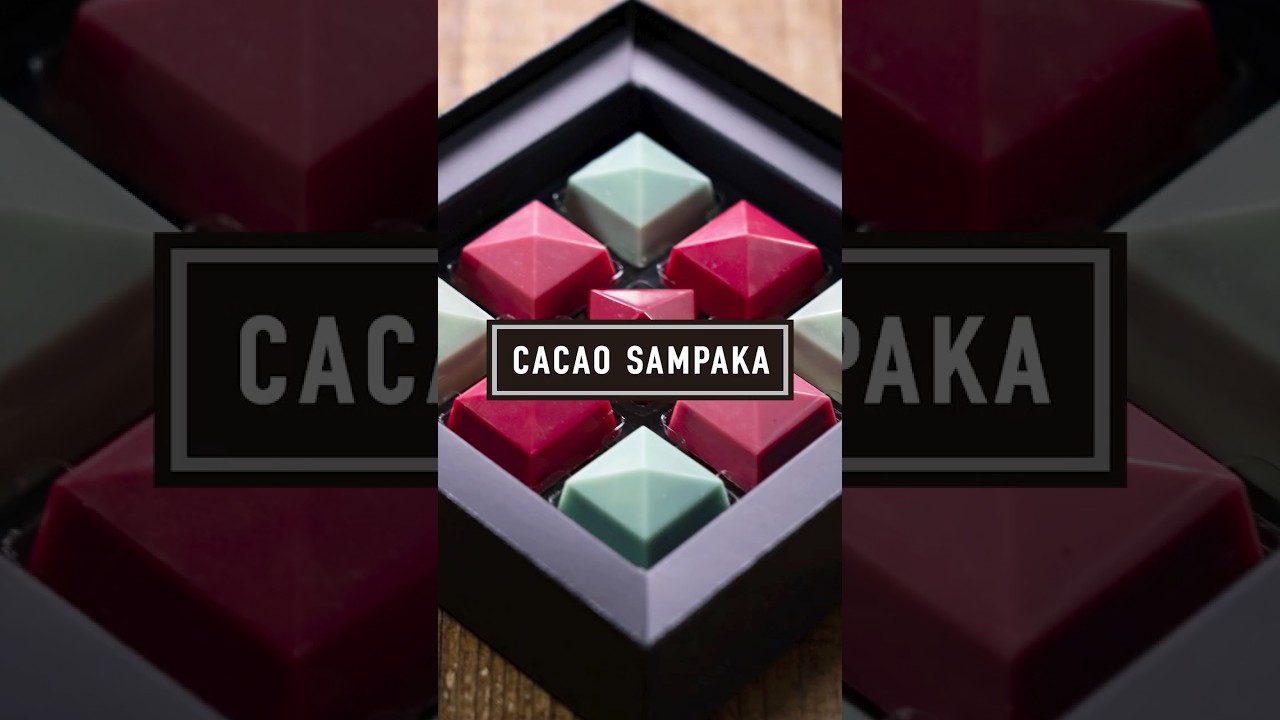 おすすめバレンタイン2026！#2 カカオサンパカ「チーク セレクション 9個入（5種）」 #valentinesday #chocolate #バレンタイン #shorts #チョコレート #pr