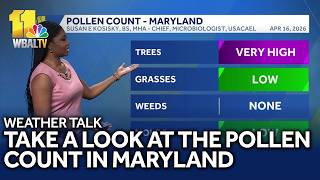 Weather Talk: Looking at Maryland's pollen count