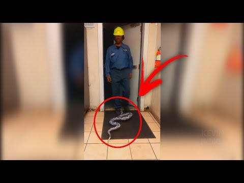 Sustos engraçados 2016 - Vídeos engraçados Pra cair de rir #9 | Kevin Indica