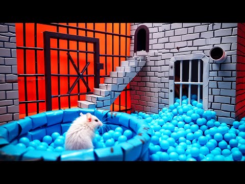 Hamster Maze Expedition ???? Journey Through the Impossible!