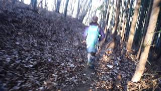 2018/12/30 数馬峠からの下山 その1