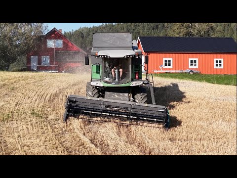 Dreschen 2025 | Fendt 5275 C ParaLevel