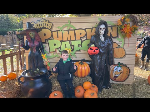 🎃👻 Halloween Fun at Pettitts Animal Adventure Park! 