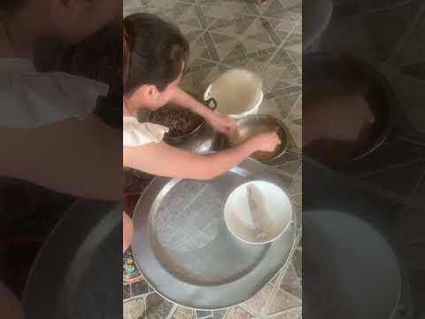 “Traditional Vietnamese Fried Spring Rolls (Nem Rán) Recipe – Step-by-Step Guide!”