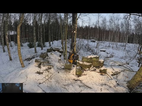 Järeää koivikon harvennusta ja jotain rakennuksien raunioita savotalla. Ponsse Scorpion K H7 AC FC