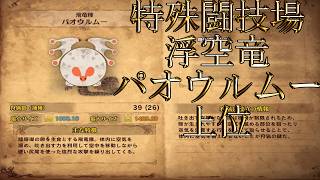 【切り抜き】限界までやり続けた後のMONSTER HUNTER WORLD：ICEBORNE 特殊闘技場パオウルムー 上位編