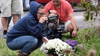 Limo in deadly N.Y. crash failed safety inspection