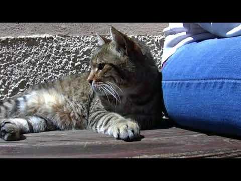 Fogola Giuliano - Montemarcello - Prov. de La Spezia