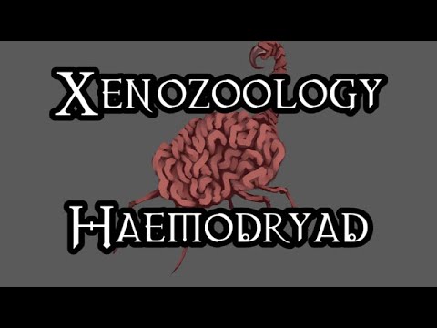 Xenozoology: Haemodryad - 40K Theories