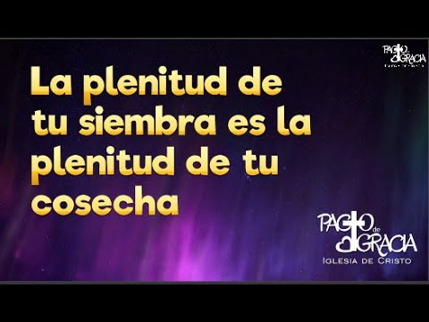Tema:   La plenitud de tu semilla es la plenitud de tu cosecha | Pastor Rudi Pineda
