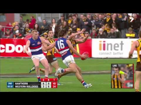 Luke Hodge - Goal of the Year? - AFL