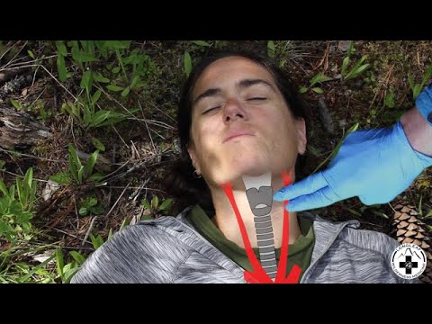 Pulse Check: Finding the Carotid Pulse