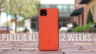 Google Pixel 4 XL Review: My 2 Week Experience