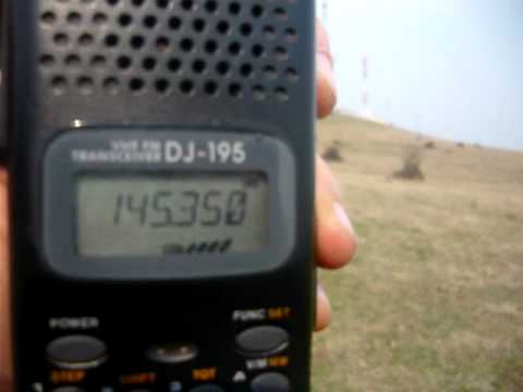 QSL Istrita catre Talpa Iadului Colentina