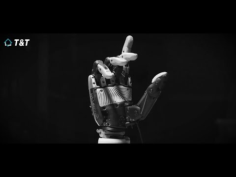 Videos from T&T Group