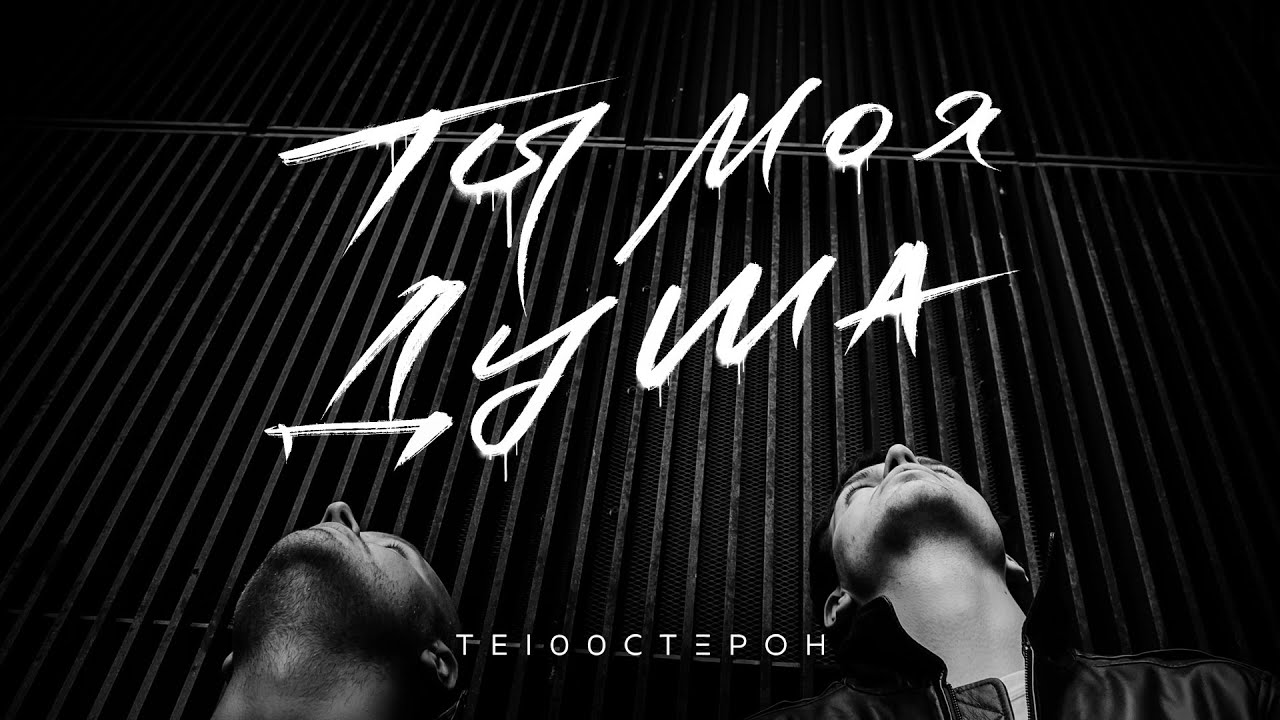 Те100стерон — Ты моя душа