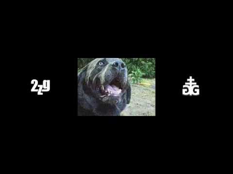 terfak & capuze - "südkorea 2" feat. mononoke (prod. heinotwo)