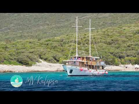 Cruise video 1