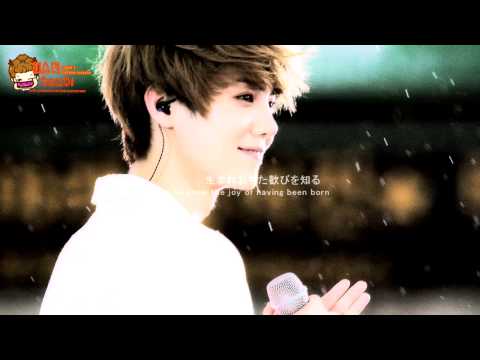 [Vietsub/FMV] Luhan - Itsumo/ Let's Stay Together (For Fruits Basket)