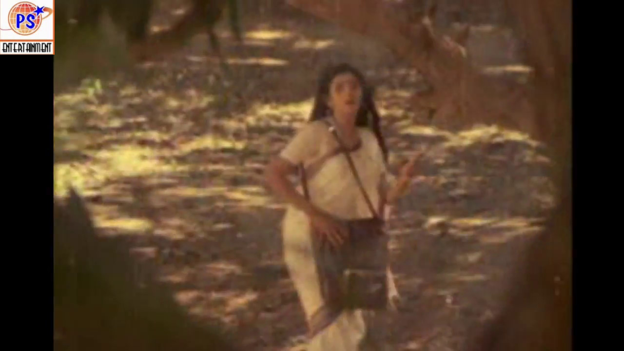 Nizhalo Nijamo Lyrics  | Paadum Paravaigal | Bhanu Priya | S.Janaki | Ilayaraja