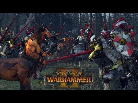 Saving Private Reiksguard // Total War: Warhammer II Online Battle #210