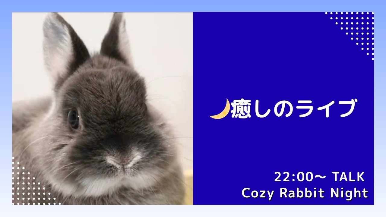 ねむねむうさぎの夜 🐇癒しのうさぎライブ｜スクショOK｜Cozy Rabbit Night