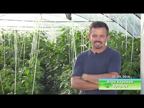 Agro karavan ep. 126 31.05.2020. Specijal
