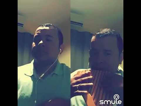 Hino 452 - Jesus, ó divinal Pastor