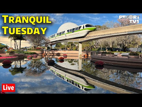 🔴Live: Tranquil Tuesday at Epcot - Relaxing Disney Evening - Walt Disney World - 3-26-24