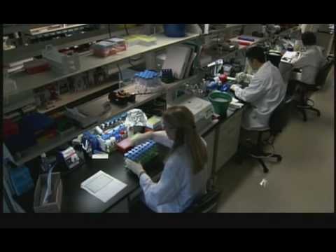 ClinSeq®: A Large-Scale Medical Sequencing Clinical Research Pilot Study