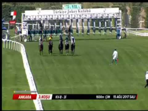 ENVER GÜRELİ KOŞUSU (KV-8/3İ)  15/08/2017 ANKARA
