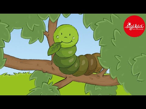 Die kleine Raupe Flups - eine Hörgeschichte für Kinder ab 2 Jahren