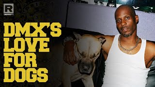 DMX On When His Love For Dogs Started &amp; How They Influenced His Brand
