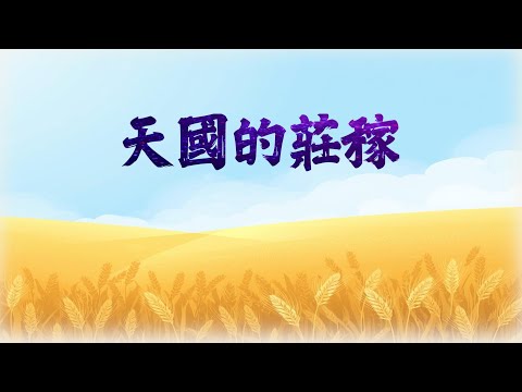 天國的莊稼影片縮圖