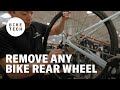 How To Remove The Rear Wheel On A Bike Bike Tech The Pro S Closet