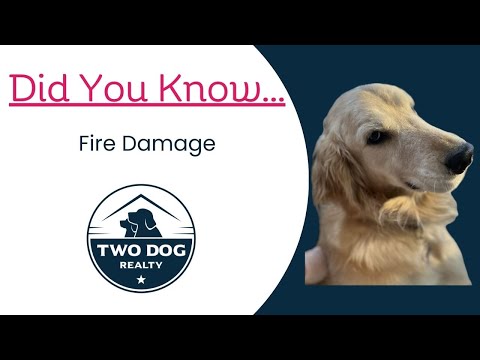 Fire Damage and Homeowners Insurance in Richmond, VA: What to Know — Two Dog Realty video