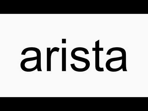 How to pronounce arista