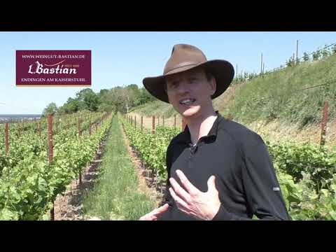 Online Weinprobe Weinlexikon Nachhaltigkeit 1