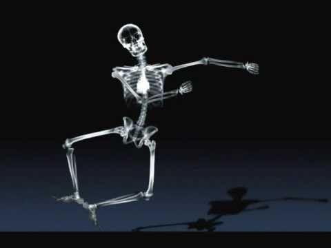 Nvandrarna - Det verkar vara en sjalvmordsbombare