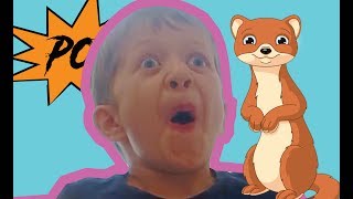 Pop Goes The Weasel! | Kindergarten Education Songs | Kids Songs Songs For Kids  | Nursery Rhymes