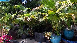 April Garden Tour 2026