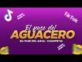 El Pase Del Agua Pase Del Aguacero Champeta Africana VIRAL TIKTOK